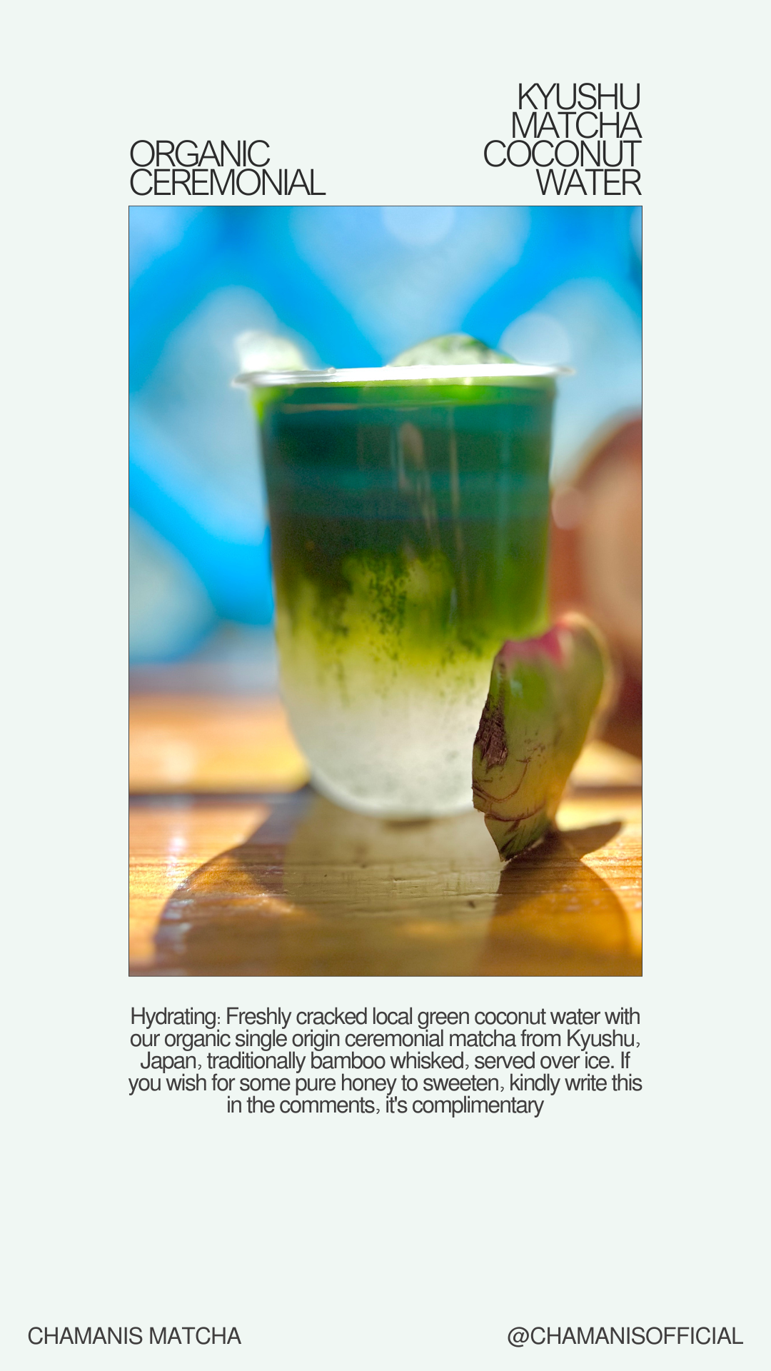 Kyushu Matcha Coconut Water